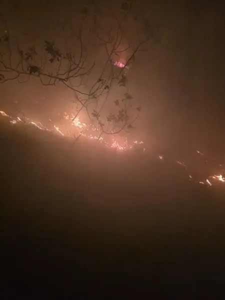 Arsuz'da Korkutan Yangın! 11 Saattir Sürüyor!