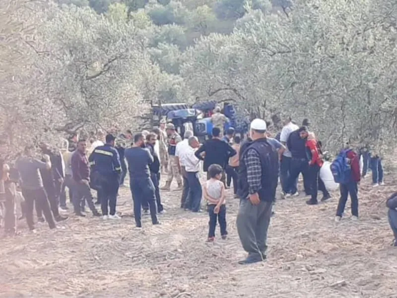 Altınözü’nde zeytin hasadı faciayla bitti