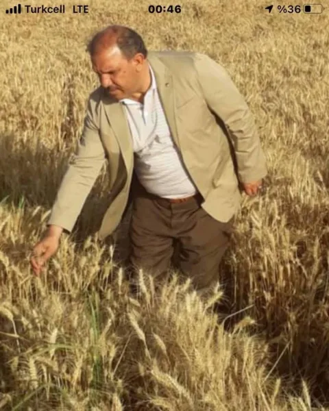 Amik Ovası’nda Hasat Sürüyor, Çiftçinin Gözleri Fiyatlarda