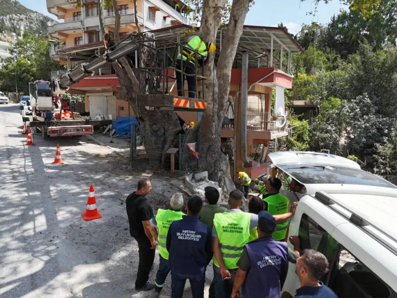 Anıt Ağaçlar İçin Saha Eğitimi Başladı
