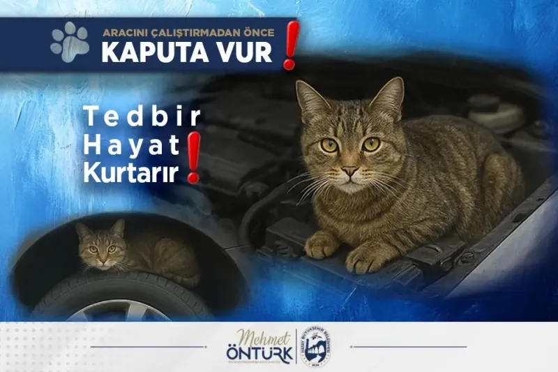 Antakya’da kedilerin imdadına itfaiye koştu