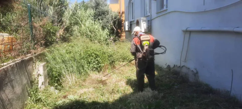 Antakya Yeşil Alanları Yenileniyor! Parklarda Neler Değişiyor?
