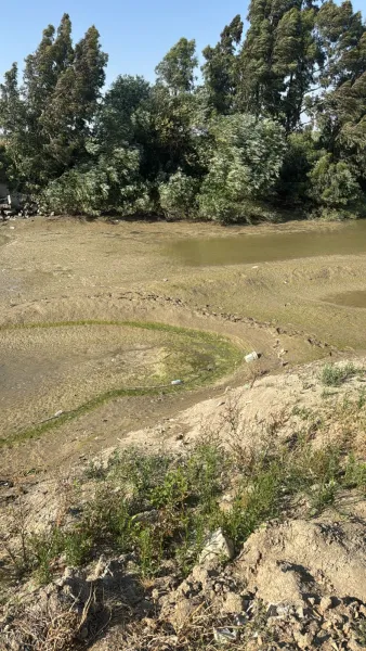 Asi Nehri Kurudu, Tarım Can Çekişiyor