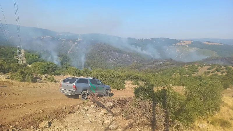 Balıkesir'in ormanları 2 gündür yanıyor