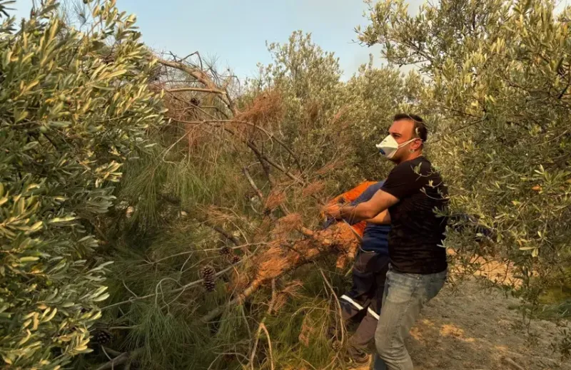 Başkan Özgün’den Yangına Canla Başla Mücadele