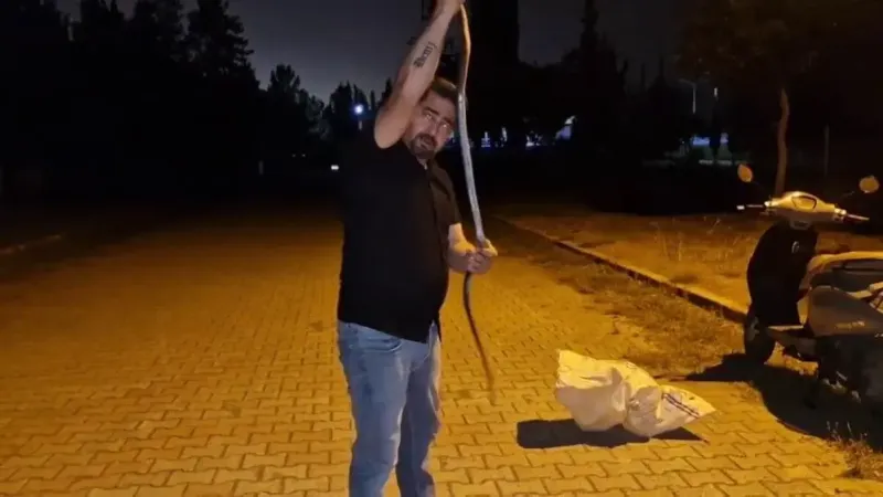 Çamaşır makinesinden çıkan misafir