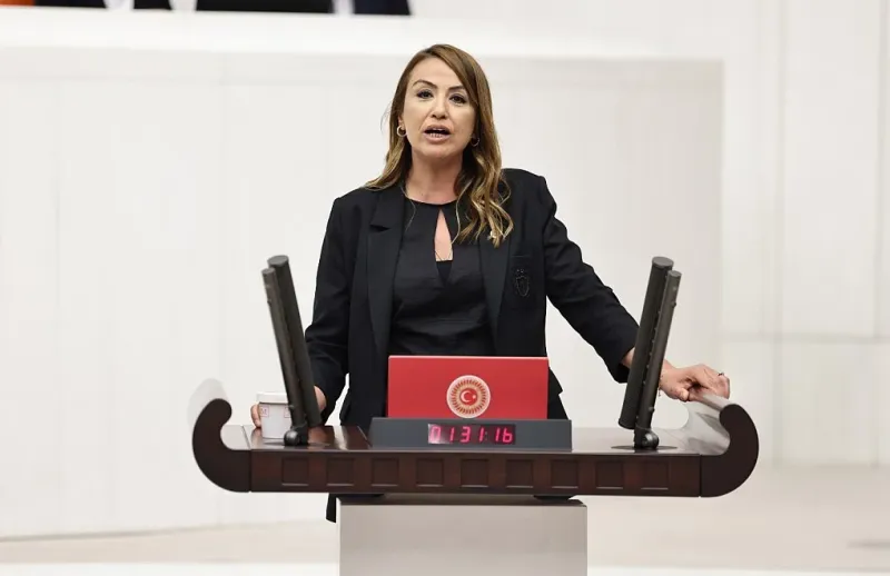 CHP’li Kara’dan Mali Müşavirler İçin Reform Çağrısı