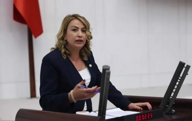 CHP'li Kara'dan Korkutan Uyarı: Göç, Radyasyon, Enerji Krizi Kapıda!