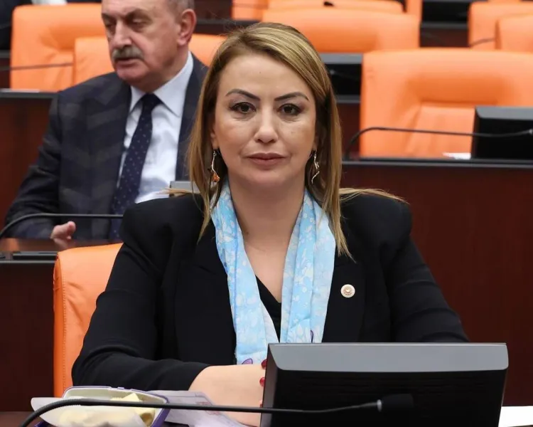 Ciddi Kamu Zararı Var: “Yangın Söndürme Uçağını Biz Neden Almıyoruz?”