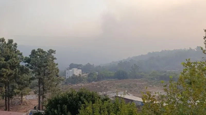 Ciğerlerimiz yanıyor: Mersin yangını 2. gününde