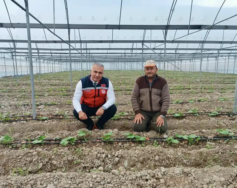Hatay'da Tarım Atağı! TAKE Projesiyle Üretim Rekoru Geliyor