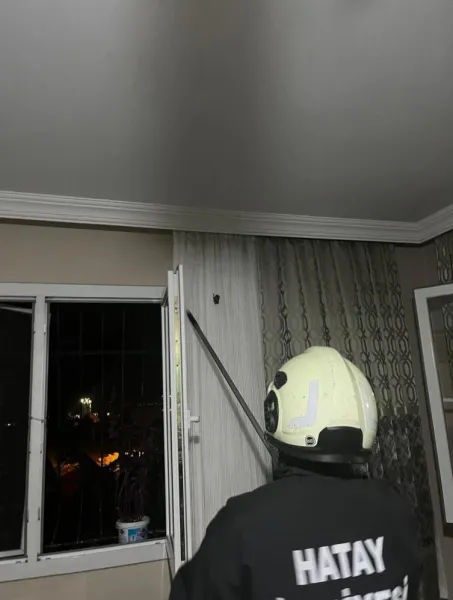 Evde Yarasa Paniği! İtfaiye Seferber Oldu