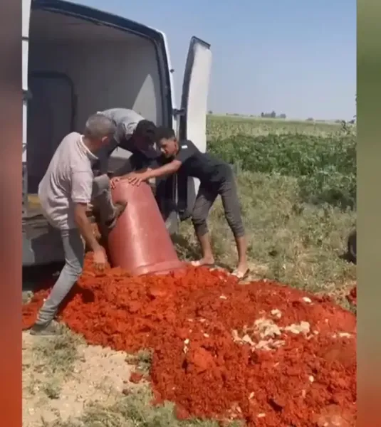 Hatay'da Salça Skandalı! Katkılı Üretim Ortaya Çıktı!