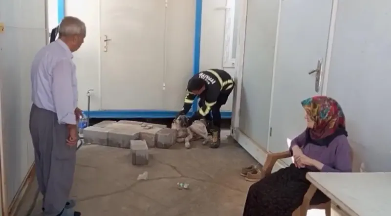 Hassa’da köpeğin imdadına itfaiye koştu
