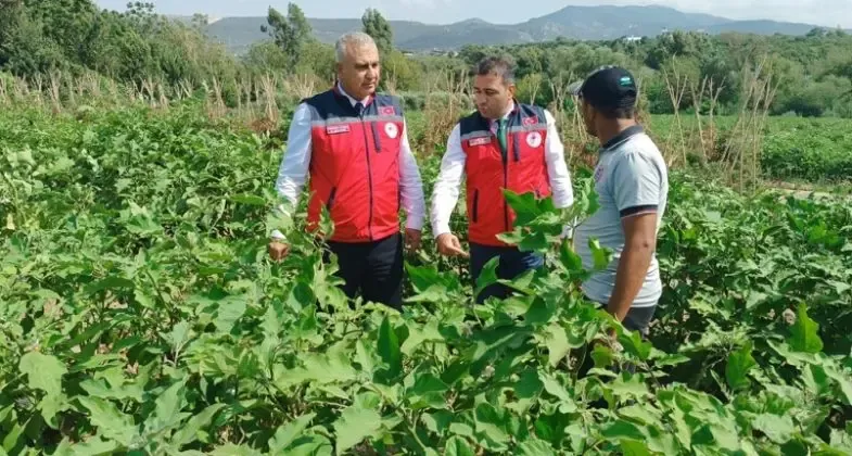 Hatay İl Tarım’dan üreticiye sahada destek