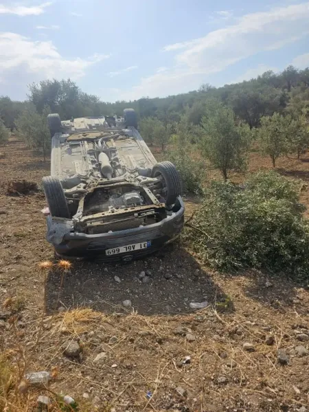 Hatay'da Kaza! Otomobil Zeytin Bahçesine Uçtu: 3 Yaralı