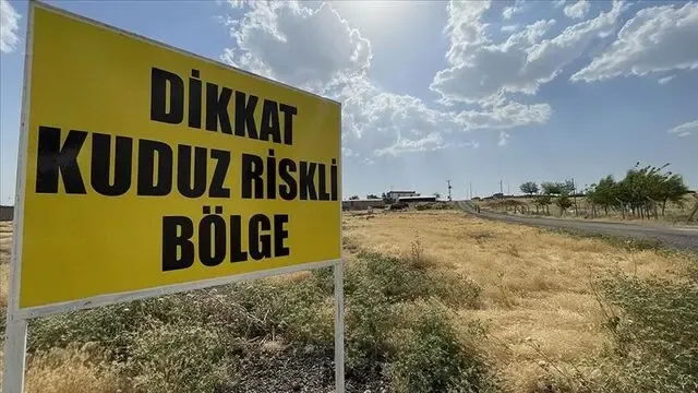 Hatay’da kuduz alarmı : Dört mahalle karantinada