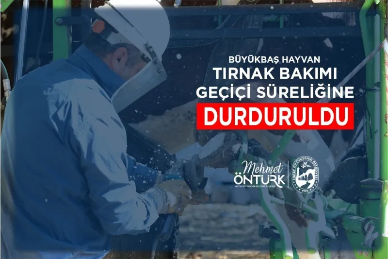Hatay’da Şap Alarmı: Büyükşehir’den Koruyucu Önlem