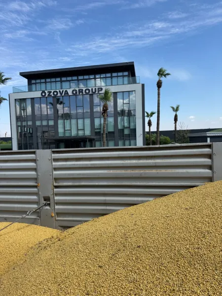 Hatay'da Soya Sezonu Başladı! Özova Tarım İlk Alımı Yaptı