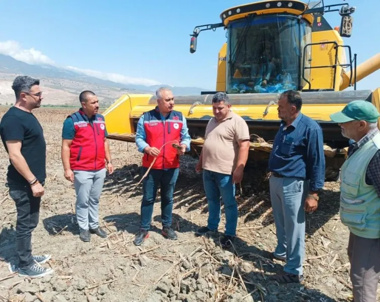 Hatay'da Ayçiçeği Hasadı! Müdür Türkmen'den Çiftçiye Destek Ziyareti