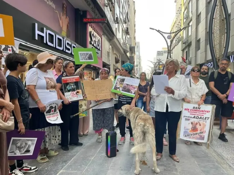 İskenderun'dan Hayvanseverler: Bakımevi Şart! (Şok Çağrı)