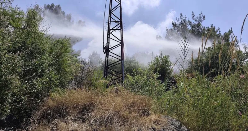 İskenderun’da Orman Yangını Hızla Söndürüldü