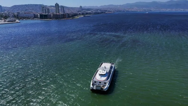 İzmir Körfezi Alarm Veriyor! Balık Katliamı mı Yaşanıyor?