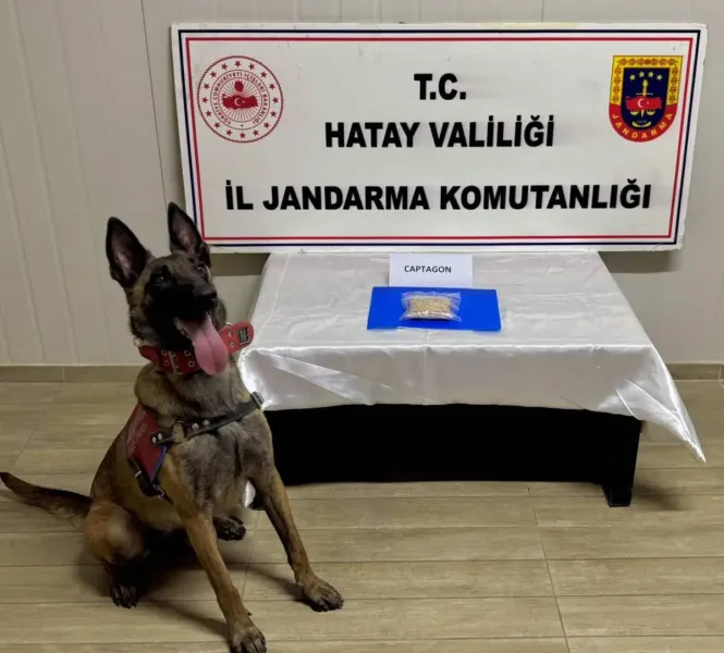 Jandarma’dan Zehir Tacirlerine Darbe