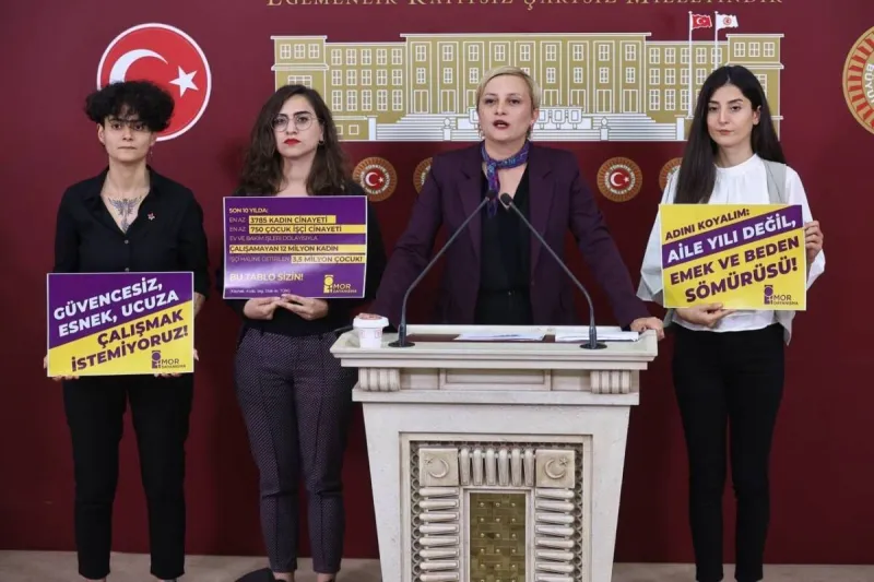Kadınlar Meclis’te Konuştu: Cezasızlık Erkek Şiddetini Artırıyor