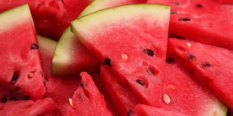 Karpuz Fiyatları Şoke Etti! Tarlada 70₺, Markette Kaç Para?