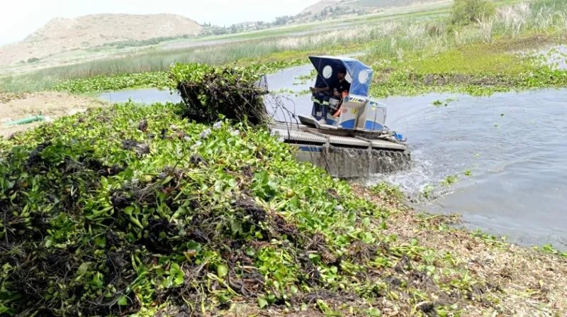 Kırıkhan Gölü’nü Saran Tehlike Temizleniyor