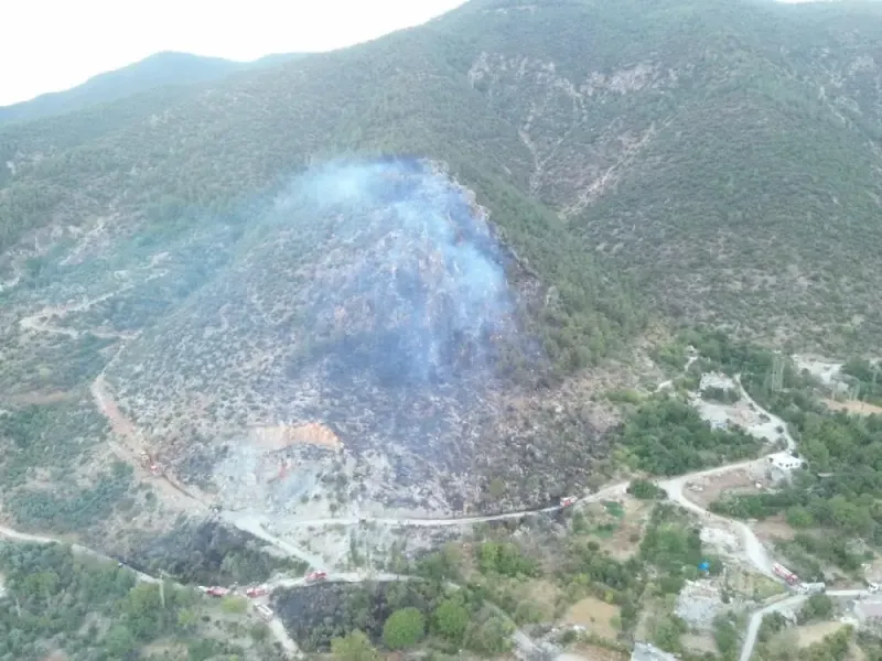 Kırıkhan’da orman yangını büyümeden söndürüldü