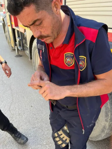 Kırlangıcın Dramatik Kurtuluşu! Hatay'da İtfaiye Seferi