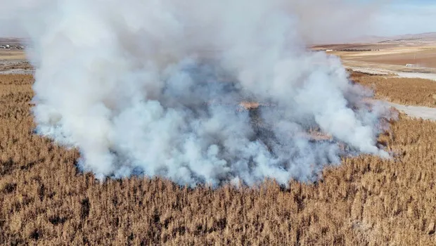 Konya Gök Gölü Alevlere Esir! Kuşlar Yuvasız Kaldı mı?