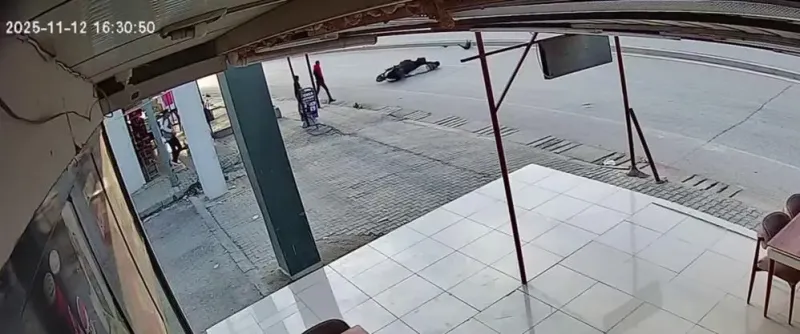 Köpek Yola Atladı, Kaza Kaçınılmaz Oldu