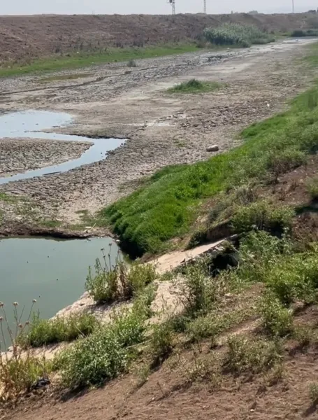 Asi Nehri Kurudu! Hatay'da Susuzluk Alarmı mı?
