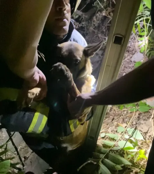 Kuyudaki Köpek Mucizesi! İtfaiye Hayata Döndürdü