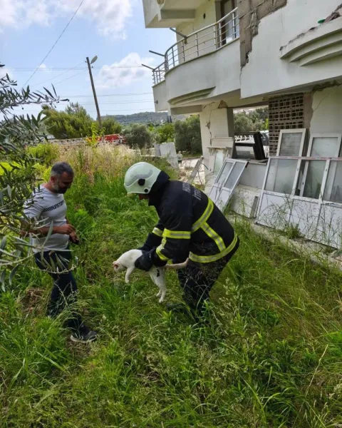 Hatay'da Kedi Kurtarma Operasyonu: İtfaiye Seferber Oldu!