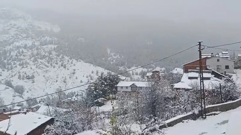 Meteoroloji sarı kodla uyarmıştı! Sivas'ta lapa lapa yağan kar beyaza bürüdü