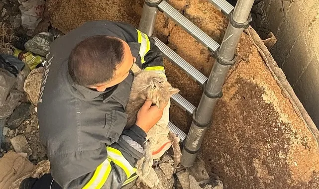Minik Can Kuyuda Mahsur Kaldı, Umut İtfaiyeyle Geldi