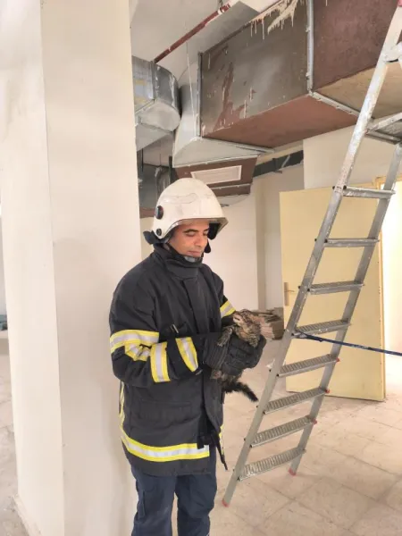 Minik dostun yardımına İtfaiye ekipleri koştu