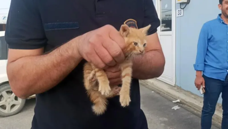 Motor Kaputundaki Yavru Kediye İtfaiyeden Pratik Çözüm