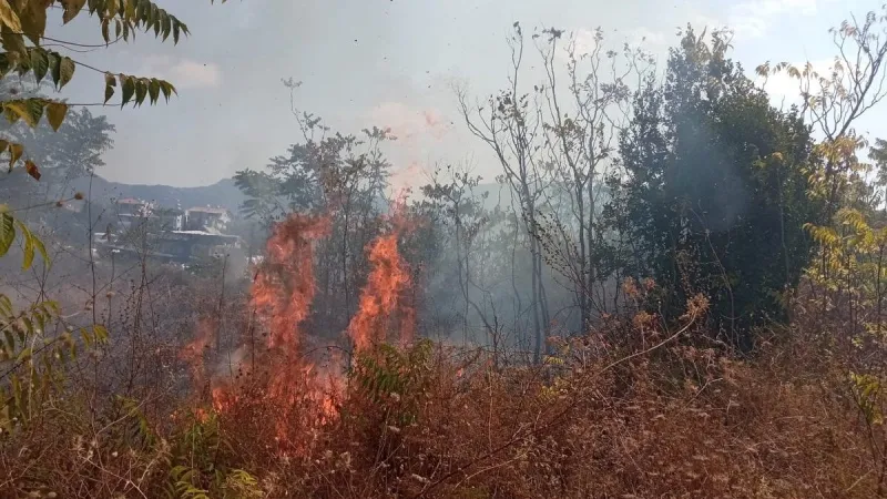 Hatay'da Bahçe Yangını! Alevler Kontrol Altında mı?