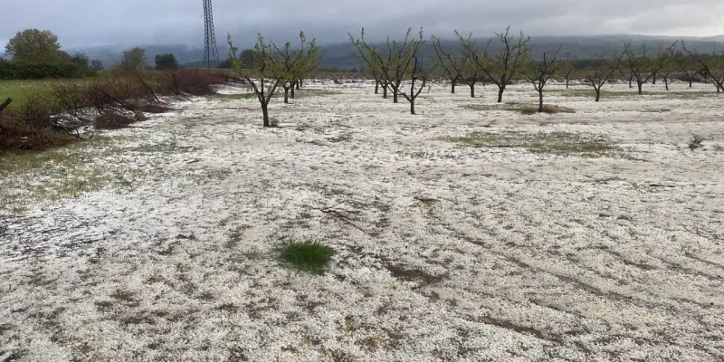 Çanakkale'de Bahar Beyaza Döndü! Dolu Felaketi mi?