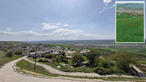 Diyarbakır'da İnanılmaz Olay! Kaçan Dana 8 Aydır Neden Yakalanamıyor?