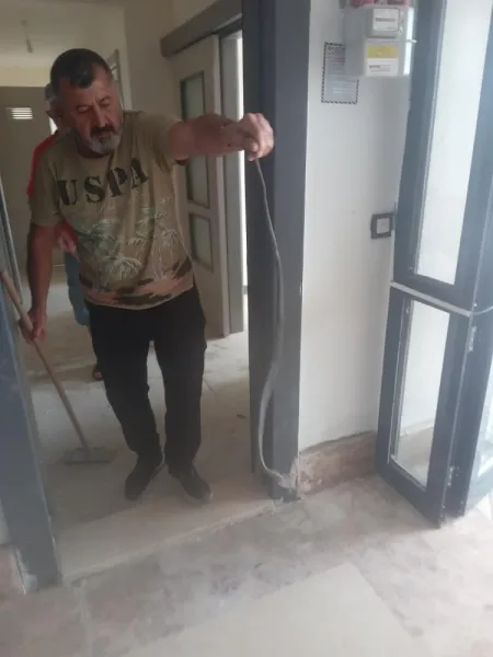 Dörtyol'da Yılan Kabusu! Apartman Sakinleri Şokta