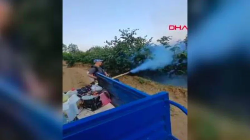 Düzce'de Fındık Üreticileri Alarmda: Don Tehlikesi!