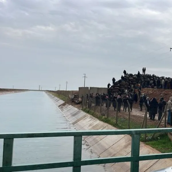 Şanlıurfa'da Korkunç Olay: Eşeğiyle Kanalda Can Verdi!