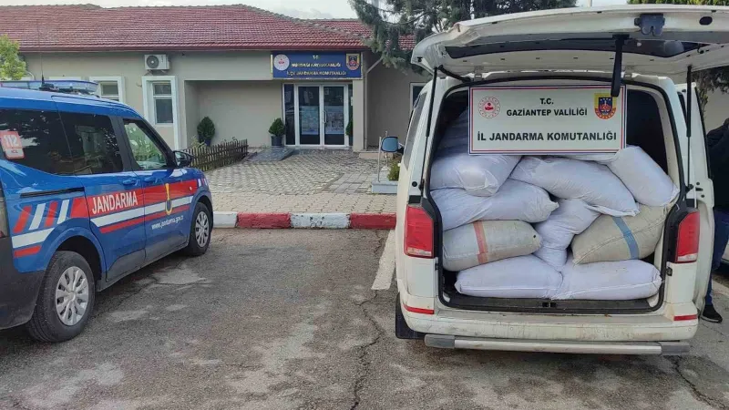Gaziantep'te Milyonluk Vurgun! Jandarma Kaçak Tütüne El Koydu!