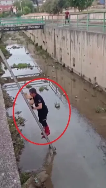 Payas'ta Kedi Kurtarma Operasyonu! Minik Can Hayata Döndü